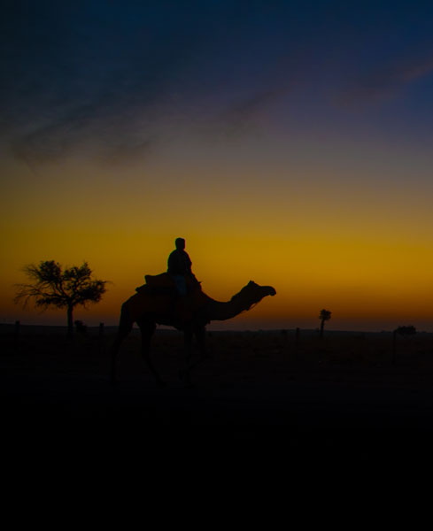 4 Days Jodhpur Jaisalmer Tour Package